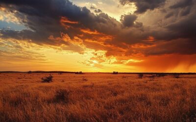 Fueling the Future: Texas Uranium Mines and the Nuclear Renaissance in America